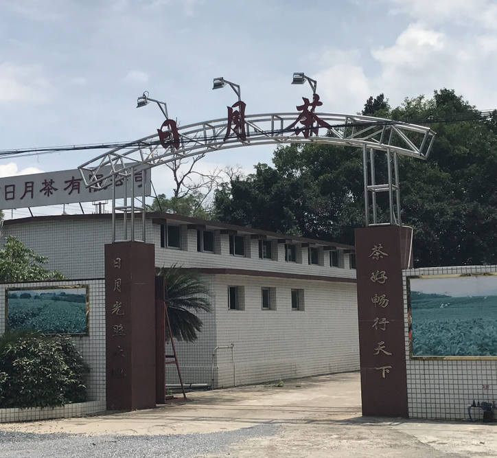 日月茶定制SA-980定制食品金屬檢測(cè)機(jī)